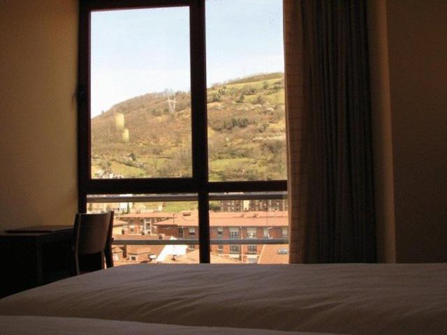 Hotel Ruta De La Plata De Asturias Пола-де-Лена Экстерьер фото